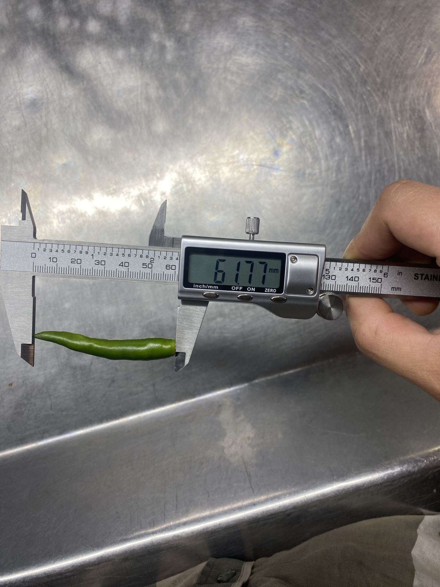 FROZEN GREEN CHILLI