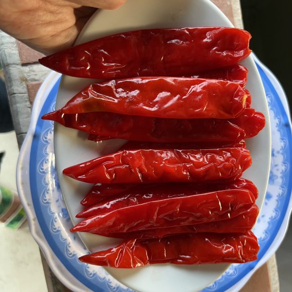 SALTED BIG RED CHILI