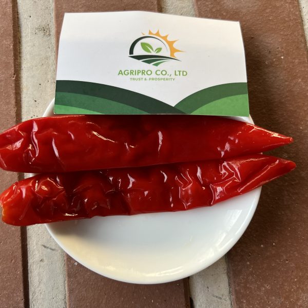 SALTED BIG RED CHILI