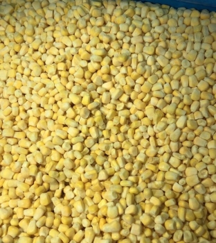 IQF Sweet Corn Kernel