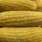 Vietnam IQF whole Sweet Corn