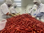 FROZEN HOT RED CHILLI