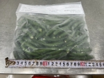 FROZEN GREEN CHILLI