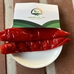 SALTED BIG RED CHILI